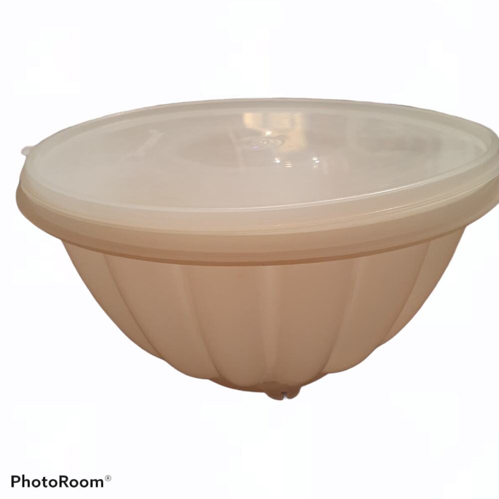 VINTAGE TUPPERWARE JELLO ICE MOLD USED - Picture 3 of 10
